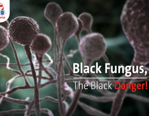Black Fungus, The Black Danger!